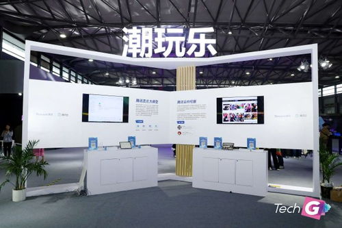 techg吴江红 新设4大展区 促进消费是今年展会的重要目标