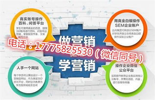 长沙app开发 长沙网站建设 全网营销推广具体怎么做